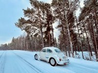 Snowy Landscape