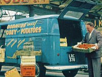 Logo Buses