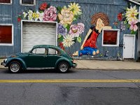 Murals