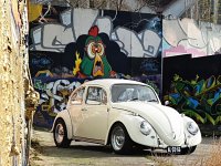Murals
