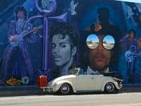 Murals