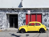 Murals