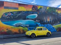Murals