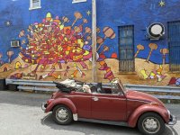 Murals