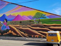 Murals