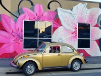 Murals