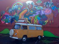 Murals