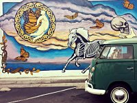 Murals