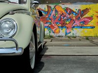 Murals