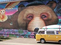 Murals