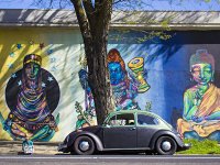 Murals
