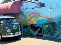 Murals