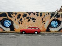 Murals