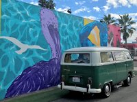 Murals
