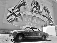 Murals