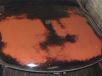 Patina