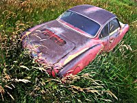 Patina