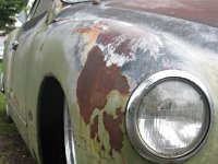 Patina