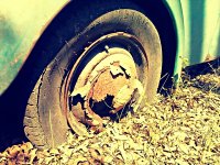 Patina