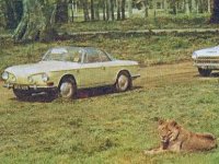 Safari