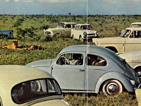 Safari