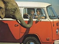 Safari