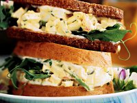 Happy National Sandwich Day
