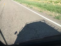 Shadow