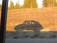 Shadow