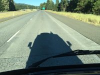 Shadow