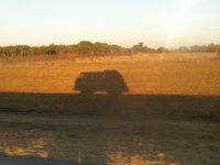 Shadow