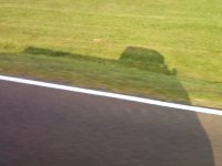 Shadow