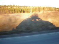 Shadow