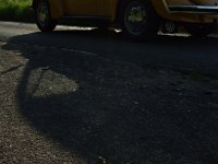 Shadow