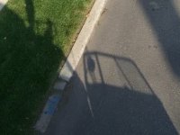 Shadow