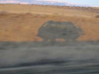 Shadow