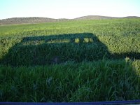 Shadow