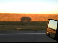 Shadow