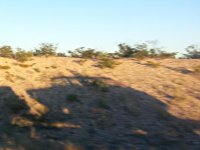 Shadow