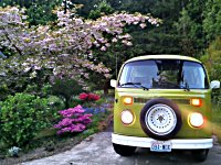 Spring