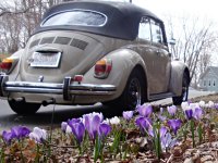 Spring