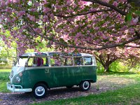 Spring