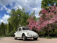 Spring