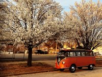 Spring