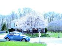 Spring