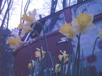Spring