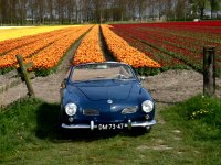 Spring