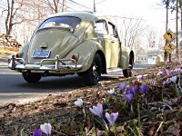 Spring