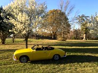 Spring