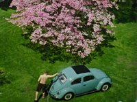 Spring